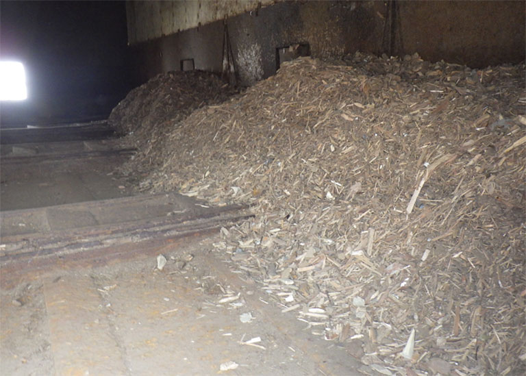 Wood chips (wood waste)