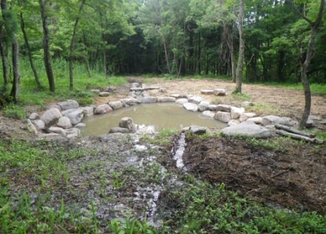 森の中のビオトープ