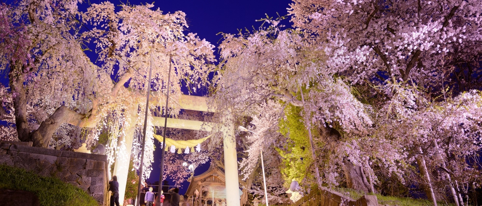 南陽市の観光名所02