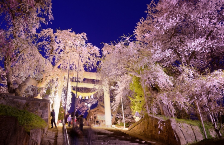 南陽市の観光名所02