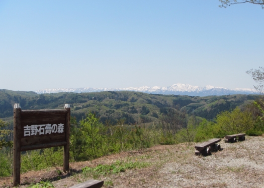 吉野石膏の森の散策会の様子01