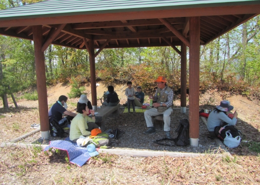 吉野石膏の森の散策会の様子02
