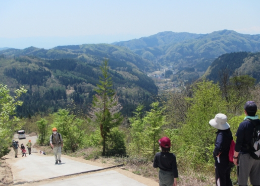 吉野石膏の森の散策会の様子03
